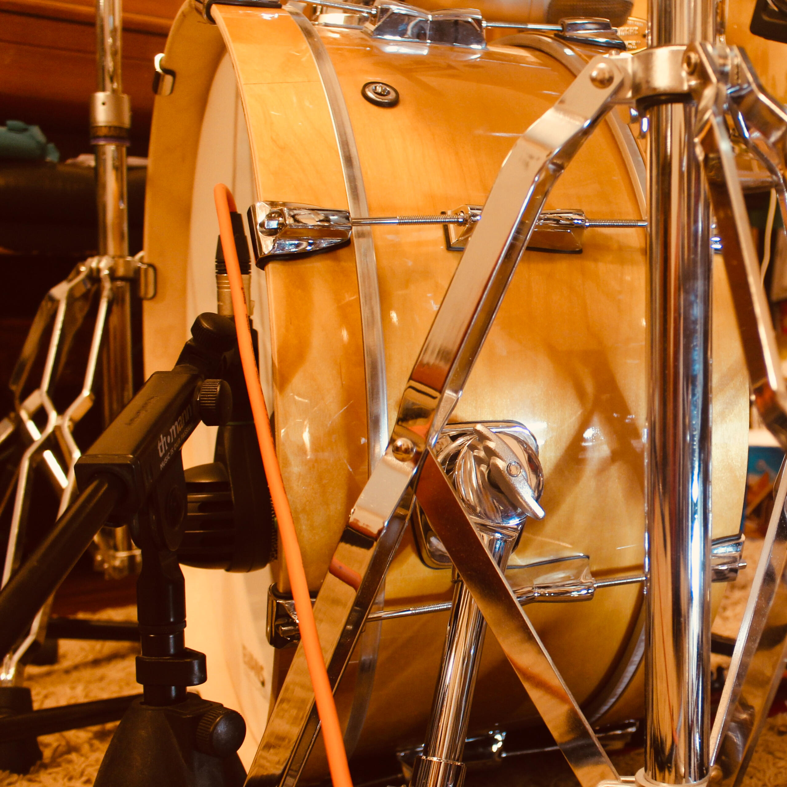 Little Ear Productions Live Instruments LEP live instruments